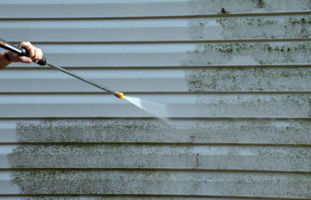 Best Best Pressure Washing Companies  in Georgiana, AL