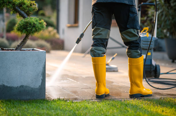 Best Pressure Washing Brick  in Georgiana, AL